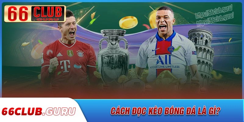 Hướng dẫn cách đọc kèo bóng đá đơn giản cho người mới