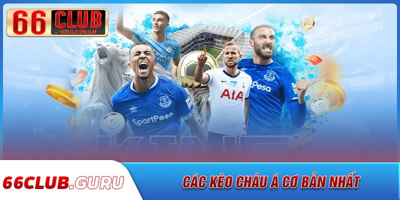 Các loại kèo châu á phổ biến hiện nay