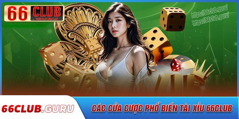 Những cửa cược cần nắm khi chơi tài xỉu