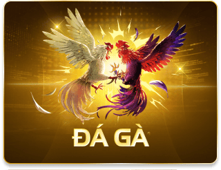 đá gà 66club